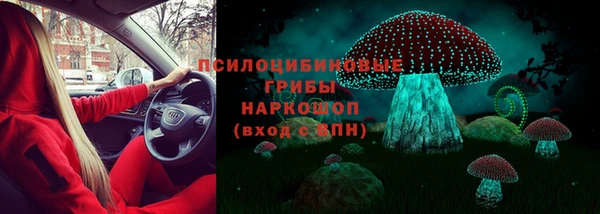 бошки Алексеевка