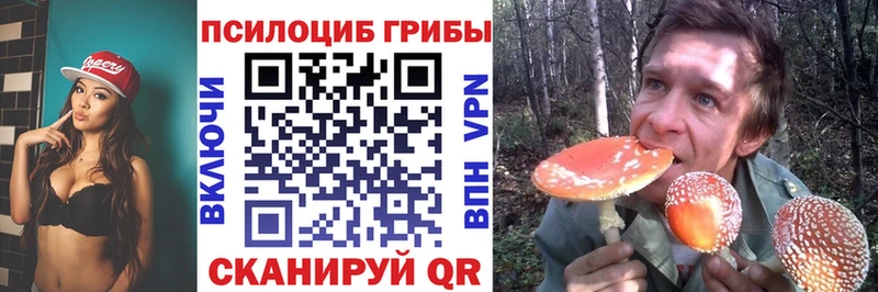 Псилоцибиновые грибы GOLDEN TEACHER  hydra ссылка  Мыски 